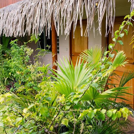 Manaeva Lodge Faaa ภายนอก รูปภาพ